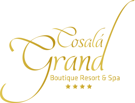 Hotel COSALA GRAND